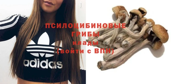 экстази Ладушкин
